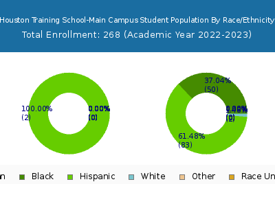 Houston Training School-Main Campus 2023 Student Population by Gender and Race chart