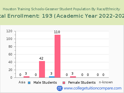 Houston Training Schools-Gessner 2023 Student Population by Gender and Race chart
