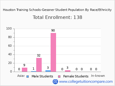 Houston Training Schools-Gessner 2025 Student Population by Gender and Race chart