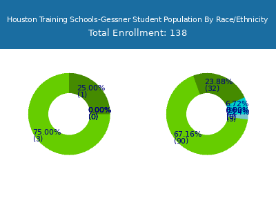 Houston Training Schools-Gessner 2025 Student Population by Gender and Race chart