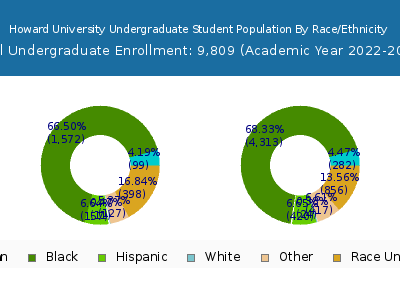 Howard University 2023 Undergraduate Enrollment by Gender and Race chart