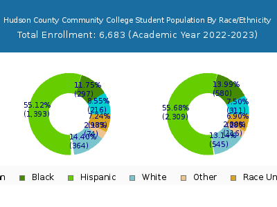 Hudson County Community College 2023 Student Population by Gender and Race chart
