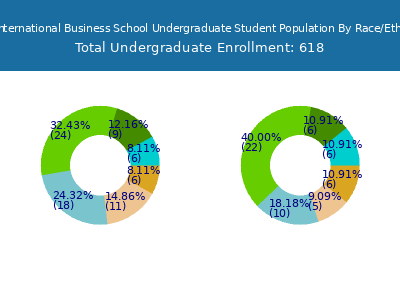 Hult International Business School 2025 Undergraduate Enrollment by Gender and Race chart