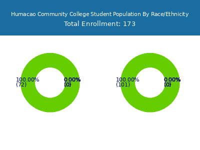 Humacao Community College 2025 Student Population by Gender and Race chart