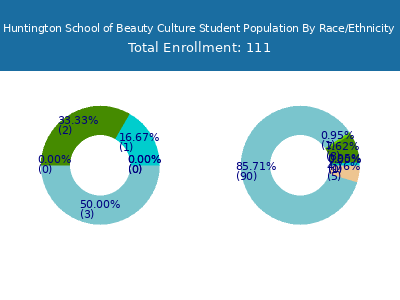 Huntington School of Beauty Culture 2025 Student Population by Gender and Race chart