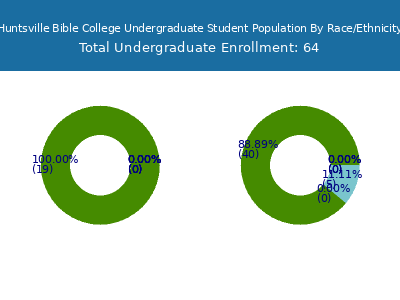 Huntsville Bible College 2025 Undergraduate Enrollment by Gender and Race chart
