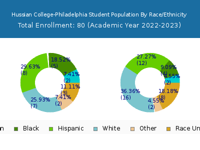 Hussian College-Philadelphia 2023 Student Population by Gender and Race chart