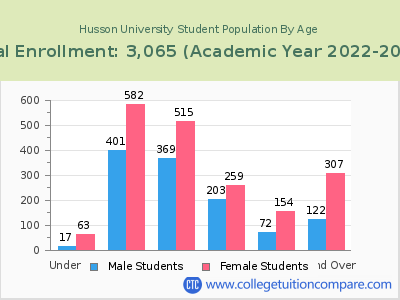Husson University 2023 Student Population by Age chart