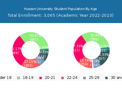 Husson University 2023 Student Population Age Diversity Pie chart