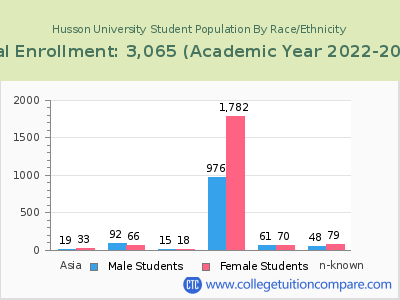 Husson University 2023 Student Population by Gender and Race chart