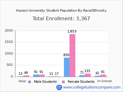 Husson University 2025 Student Population by Gender and Race chart