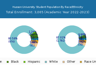 Husson University 2023 Student Population by Gender and Race chart