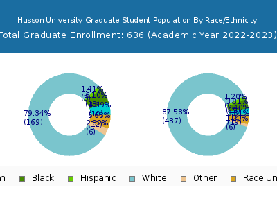 Husson University 2023 Graduate Enrollment by Gender and Race chart