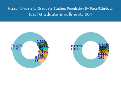 Husson University 2025 Graduate Enrollment by Gender and Race chart