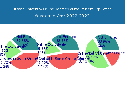 Husson University 2023 Online Student Population chart