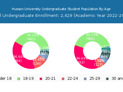 Husson University 2023 Undergraduate Enrollment Age Diversity Pie chart