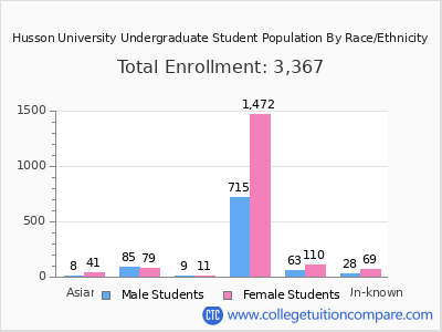 Husson University 2025 Undergraduate Enrollment by Gender and Race chart