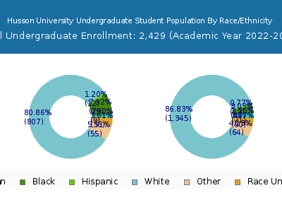 Husson University 2023 Undergraduate Enrollment by Gender and Race chart