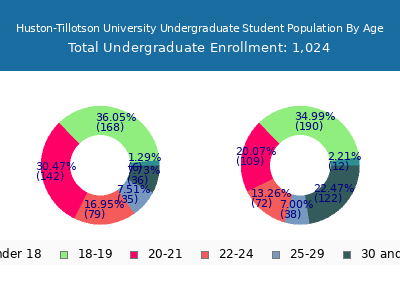 Huston-Tillotson University 2025 Undergraduate Enrollment Age Diversity Pie chart
