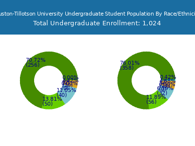 Huston-Tillotson University 2025 Undergraduate Enrollment by Gender and Race chart