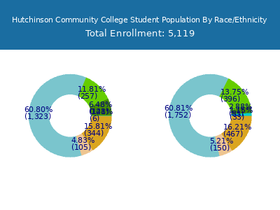Hutchinson Community College 2025 Student Population by Gender and Race chart