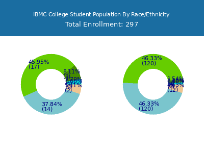 IBMC College 2025 Student Population by Gender and Race chart
