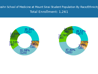 Icahn School of Medicine at Mount Sinai 2025 Student Population by Gender and Race chart