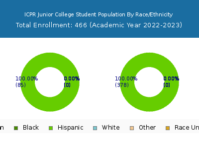ICPR Junior College 2023 Student Population by Gender and Race chart