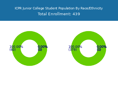 ICPR Junior College 2025 Student Population by Gender and Race chart