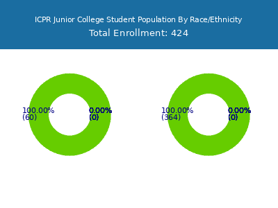 ICPR Junior College 2025 Student Population by Gender and Race chart