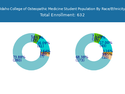 Idaho College of Osteopathic Medicine 2025 Student Population by Gender and Race chart