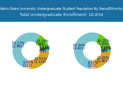 Idaho State University 2025 Undergraduate Enrollment by Gender and Race chart