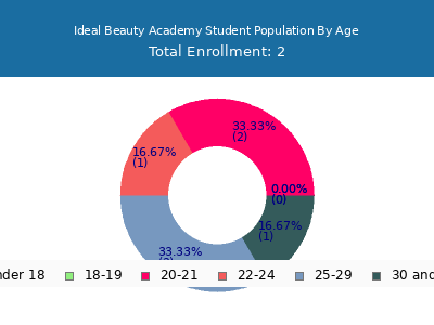 Ideal Beauty Academy 2024 Student Population Age Diversity Pie chart