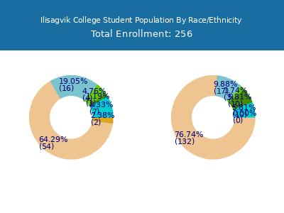 Ilisagvik College 2025 Student Population by Gender and Race chart