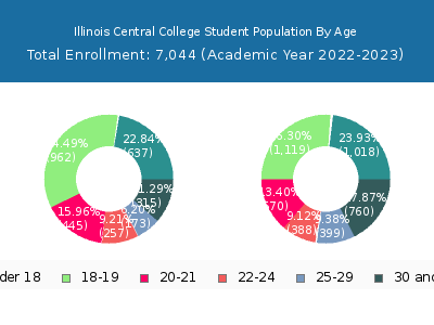 Illinois Central College 2023 Student Population Age Diversity Pie chart
