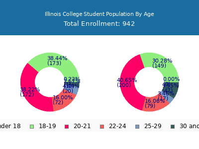 Illinois College 2025 Student Population Age Diversity Pie chart