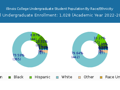 Illinois College 2023 Undergraduate Enrollment by Gender and Race chart
