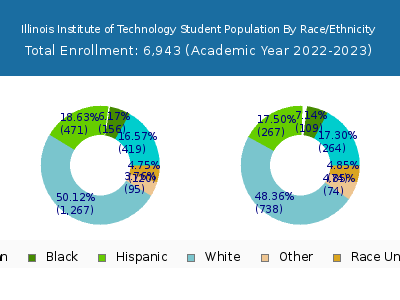 Illinois Institute of Technology 2023 Student Population by Gender and Race chart