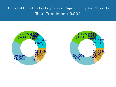 Illinois Institute of Technology 2025 Student Population by Gender and Race chart