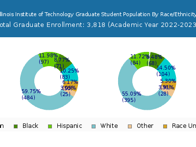 Illinois Institute of Technology 2023 Graduate Enrollment by Gender and Race chart
