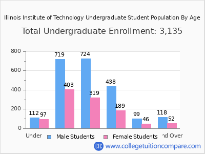 Illinois Institute of Technology 2024 Undergraduate Enrollment by Age chart