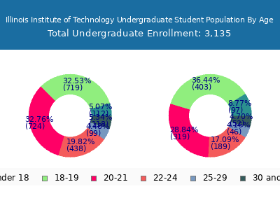 Illinois Institute of Technology 2024 Undergraduate Enrollment Age Diversity Pie chart