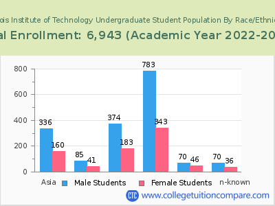 Illinois Institute of Technology 2023 Undergraduate Enrollment by Gender and Race chart