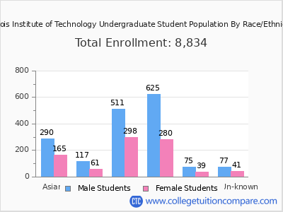 Illinois Institute of Technology 2025 Undergraduate Enrollment by Gender and Race chart
