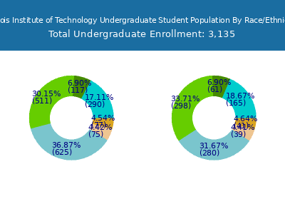 Illinois Institute of Technology 2025 Undergraduate Enrollment by Gender and Race chart
