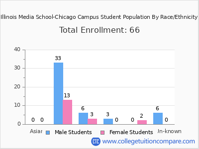 Illinois Media School-Chicago Campus 2025 Student Population by Gender and Race chart