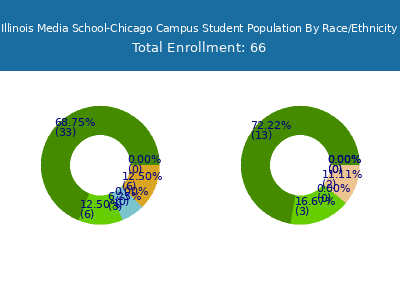 Illinois Media School-Chicago Campus 2025 Student Population by Gender and Race chart