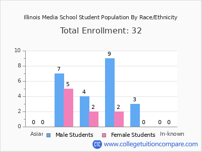 Illinois Media School 2025 Student Population by Gender and Race chart