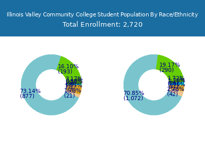 Illinois Valley Community College 2025 Student Population by Gender and Race chart