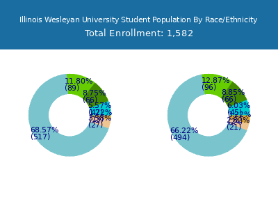 Illinois Wesleyan University 2025 Student Population by Gender and Race chart